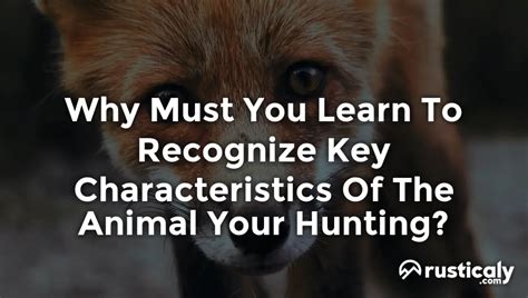 Why Must You Learn To Recognize Key Characteristics Of The Animal You'Re Hunting?